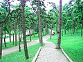 Park na Kelemegdanu