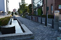 Kariya Iris Street 2013-08B.JPG