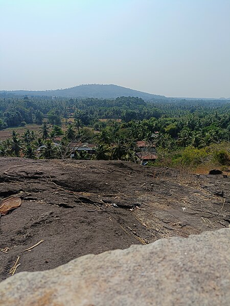 File:Karkal 3.jpg