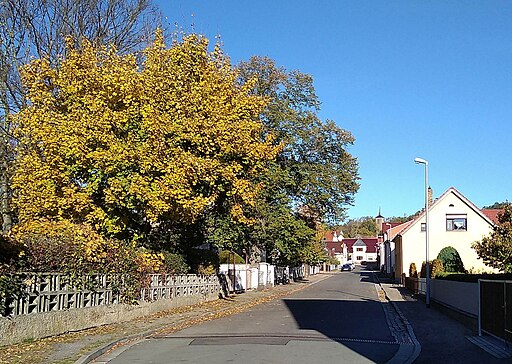 Karlstraße Elsterwerda Biehla 31 Okt 2018 SJ IMG 20181031 093748