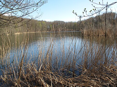 Kleiner Tornowsee 03