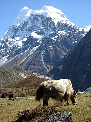 Langshisa Ri from the west