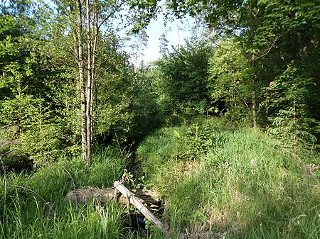 Langwassergraben am Hutbruckweg 2015 06 02 18.54.40