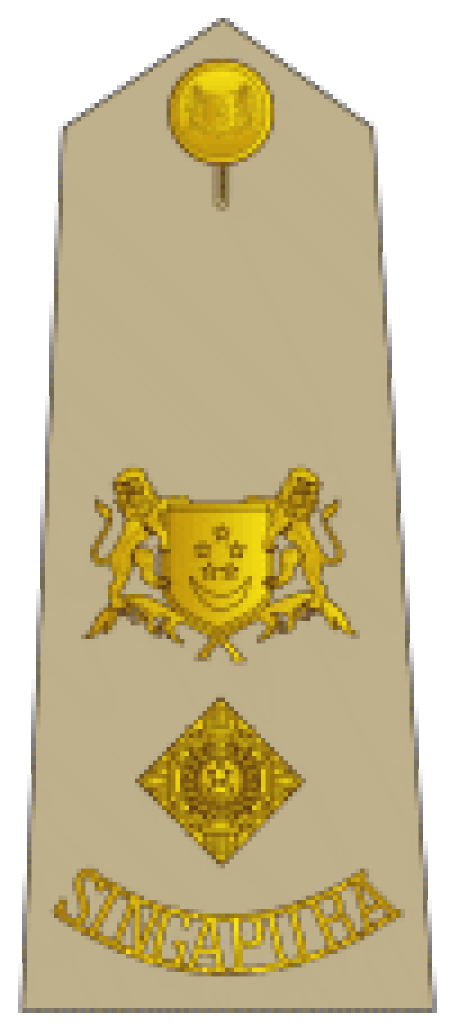ไฟล์:Lieutenant-Colonel_1965-1978_(Singapore_Army_OF-4).gif