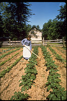 Lincoln Boyhood National Memorial LIBO1951.jpg