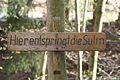 Deutsch: Ort des angeblichen Ursprungs, Hinweisschild English: Place of alleged origin, sign