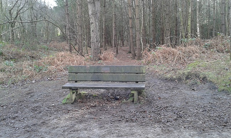 File:Long shot of the bench (OpenBenches 1939-3).jpg