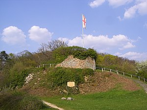 Freiburg Im Breisgau Schlossberg: Anlagen, Geschichte, Weinbau