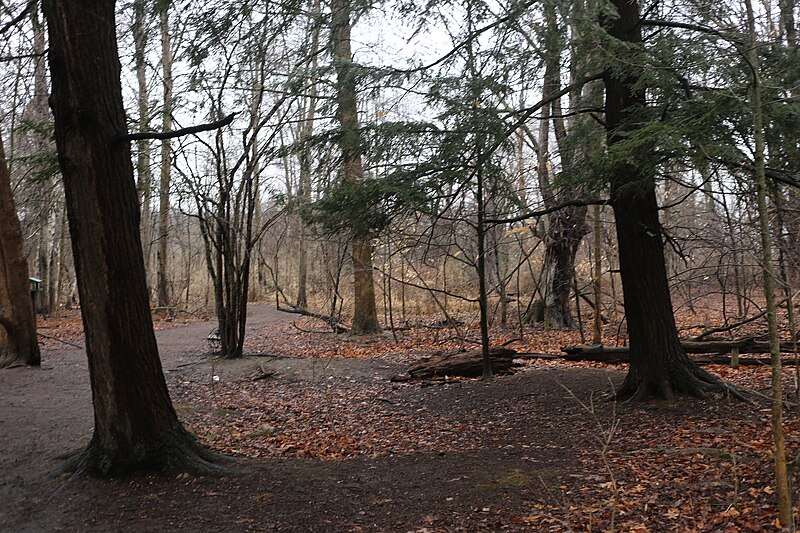 File:Lynde Shores Conservation Area IMG 0134 (19174473692).jpg