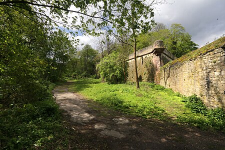 Mainzer Zitadellengraben Natur und historische Mauern im Einklang miteinander