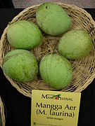 長梗芒果 Pari mango