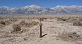 Manzanar - RA Wilder Farm site