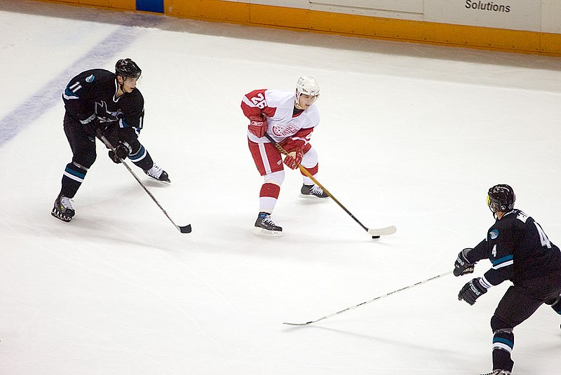 File:Marcel Goc, Jiri Hudler and Kyle McLaren (274725246).jpg