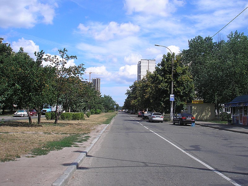 File:Marshala Rokossovskoho Avenue (1).jpg