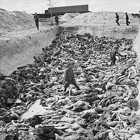 Тела умерших узников освобождённого концлагеря Берген-Бельзен