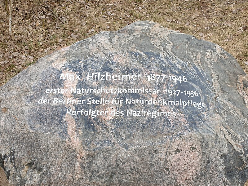 File:Max Hilzheimer (1877-1946) Memorial.jpg