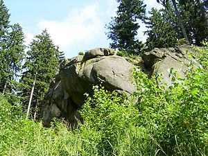 Rocks on the Medůvka