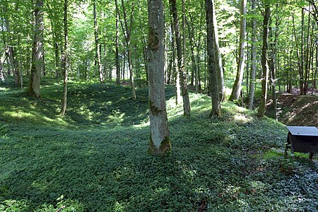 III. Meier- und Vorhof. Rondell