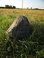 Kamień polny z krzyżem na zbiorowej mogile Konfederatów poległych w bitwie