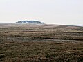 Thumbnail for File:Moorland below the plantation on Green Hill - geograph.org.uk - 4249535.jpg