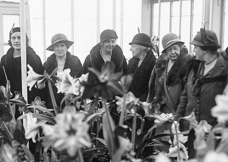 File:Mrs. Herbert Hoover and cabinet ladies.jpg