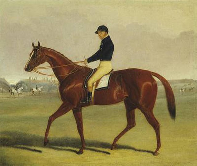 Nat Flatman aboard Preserve at Newmarket Racecourse 1835 painting by John Frederick Herring, Jr.