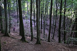 Naturreservatet Forsemölla nära Sträntemölla, Rörum, Skåne.JPG