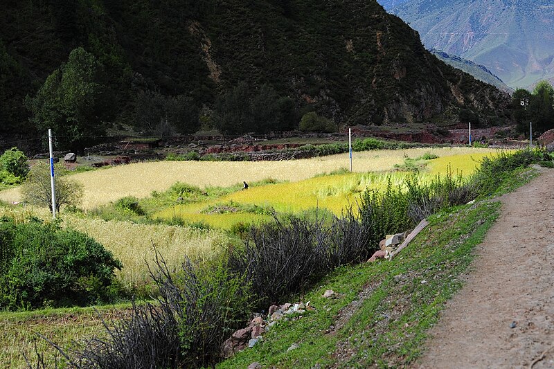 File:Near Lao.jpg