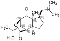 Structure of nobilonin