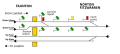 Vorschaubild der Version vom 01:05, 27. Nov. 2006