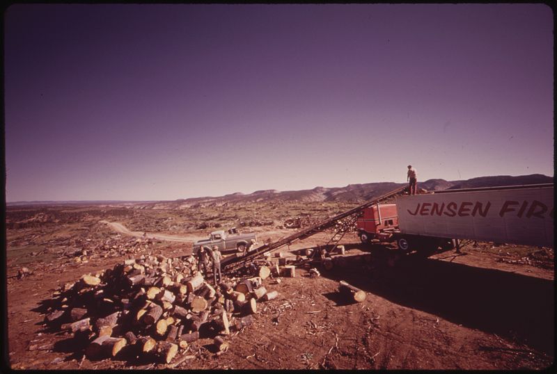 File:ON OIL SHALE LEASE SITES "C-B" A DENVER COMPANY SALVAGES WOOD FROM A BUREAU OF LAND MANAGEMENT (BLM) CHAINING... - NARA - 552583.jpg