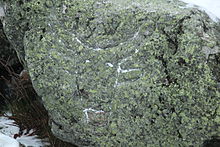 In Fels eingemeißeltes Stierhaupt auf dem Berggipfel