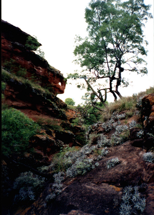 Argentina Provincia De La Rioja: Historia, Gobierno, Cultura