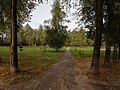 Old Kstovo Park - 2020-09-21 (1).jpg