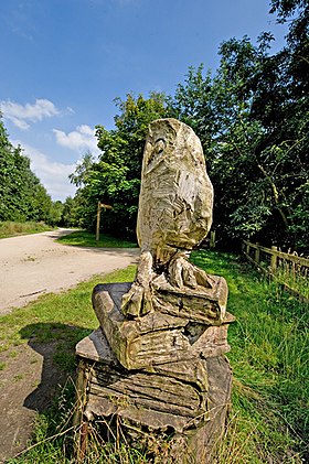 Three Sisters Recreation Area sculpture Owl Sculpture - Three Sisters Recreation Area - geograph.org.uk - 921687.jpg