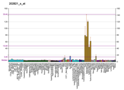 PBB GE LPP 202821 s bei fs.png