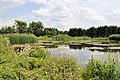 * Nomination Pond in in Bolestraszyce Arboretum --Kroton 19:09, 5 June 2016 (UTC) * Promotion Good quality -- Spurzem 20:32, 5 June 2016 (UTC)