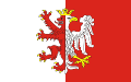 Vlajka okresu Łęczyca