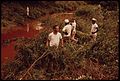 PRISONERS FROM JEFFERSON COUNTY JAIL REMOVE BRANCHES FROM POLLUTED STREAM - NARA - 545531.jpg
