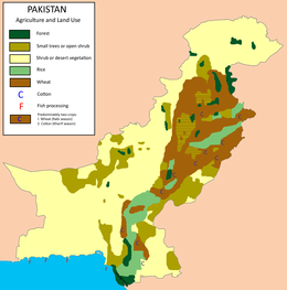Agriculture Au Pakistan