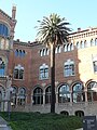Dues palmeres a l'entrada de l'Hospital de Sant Pau, arbres d'interès local de Barcelona.