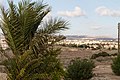 Paphos, Cyprus - panoramio (79).jpg