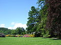 Ansicht aus dem südlichen Teil des Parks, Rhododendrongarten im Hintergrund