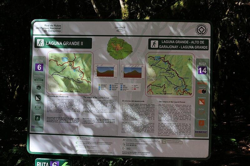 File:Parque nacional de Garajonay 17.jpg