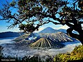 Pemandangan Bromo dari Bukit Perahu