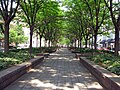 Piatt Park