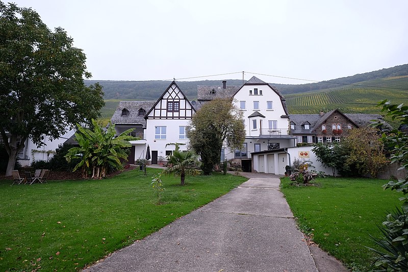 File:Piesport, Germany - panoramio (14).jpg