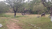 Pikworo slave camp in the upper east region of Ghana. Pikworo slave camp2.jpg