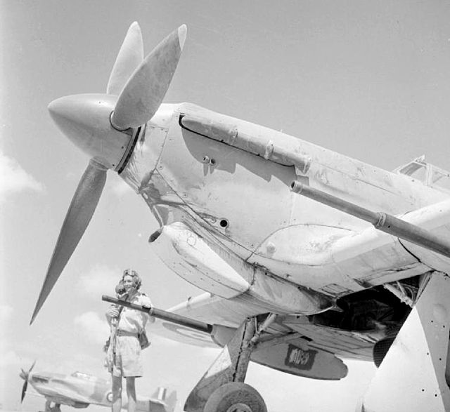 A Mark IID Hurricane of 6 Squadron at Shandur, Egypt (1942)