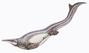 Mosasaur